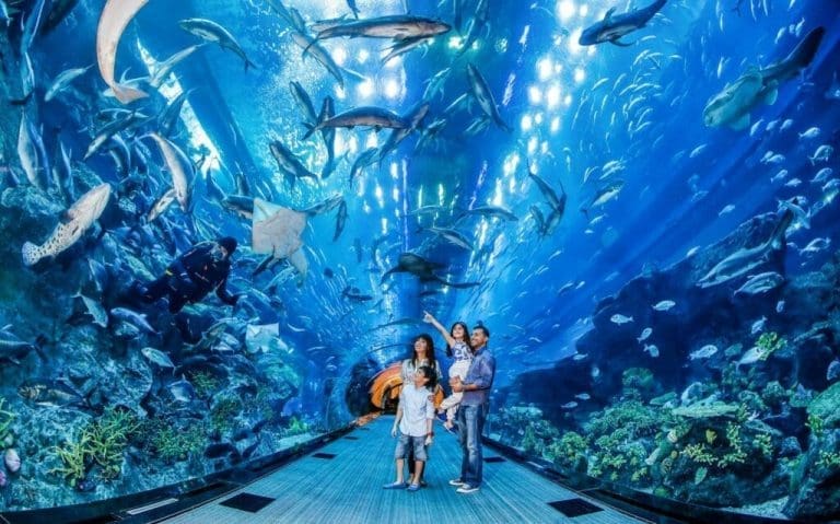 Wheelchair accessible attractions in Dubai Dubai Mall Aquarium