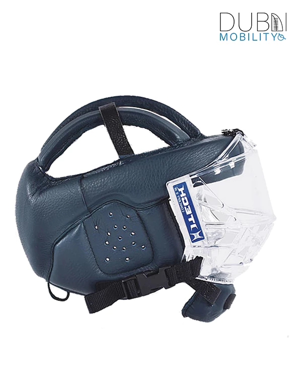 Hp 4 visor protections