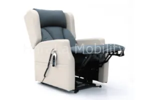 Dual Motor Recliner Chair