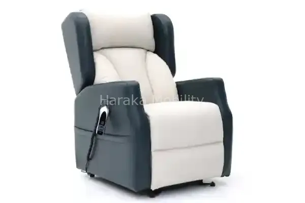 riser recliner